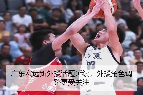 guang-dong-hong-yuan-xin-wai-yuan-hua-ti-yan-xu-wai-yuan-jue-se-tiao-zheng-geng-shou-guan-zhu-2-836.jpg